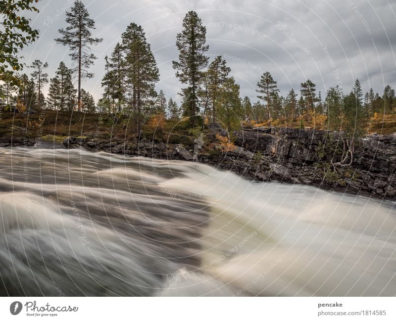 starker rausch Natur Landschaft Urelemente Wasser Himmel Wolken Sonnenlicht Herbst Baum Wasserfall nass Geschwindigkeit Norwegen Langzeitbelichtung Rauschen