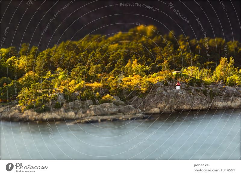 kleine leuchte Landschaft Urelemente Wasser Herbst Schönes Wetter Wald Küste Fjord Schifffahrt Fähre Zeichen Verkehrszeichen maritim Ferien & Urlaub & Reisen