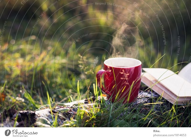 Herbstliebe. Freizeit & Hobby Ferien & Urlaub & Reisen Ausflug Abenteuer Sommer genießen träumen Zufriedenheit Warmherzigkeit ruhig Tasse trinken lesen Buch