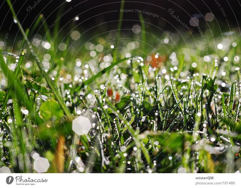 Growing. Farbfoto Gedeckte Farben mehrfarbig Außenaufnahme Nahaufnahme Detailaufnahme Makroaufnahme Experiment abstrakt Muster Strukturen & Formen Menschenleer