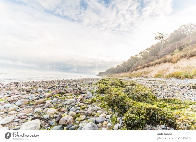 Ostseestrand Landschaft Wolken Herbst Wetter Wald Zufriedenheit achtsam Vorsicht Gelassenheit geduldig ruhig Farbfoto Menschenleer Tag