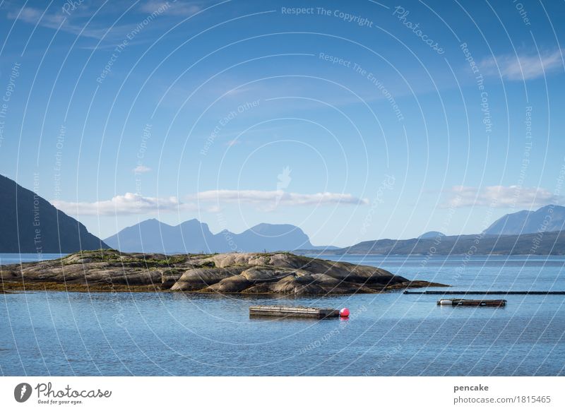 fjordbad Schwimmen & Baden Natur Landschaft Urelemente Wasser Himmel Sommer Herbst Schönes Wetter Fjord Ferne maritim schön blau Badeort Norwegen Norwegenurlaub