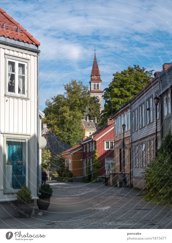 nordic wohnen Schönes Wetter Baum Trondheim Norwegen Europa Altstadt Haus Kirche Gebäude Häusliches Leben Holzhaus Skandinavien gemütlich Stadtzentrum