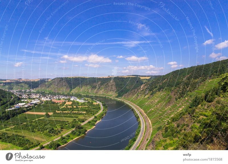 Moseltal im Sommer mit Mosel und Weinbergen Fluss Idylle mosel Weintrauben Eifel Rheinland-Pfalz Weinbau schifffahrt panorama Außenaufnahme