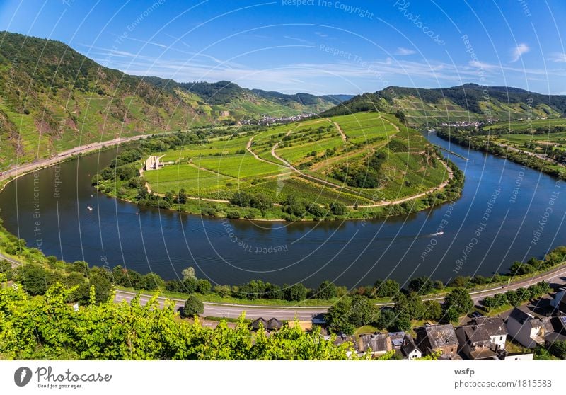 Moselschleife bei Bremm im Sommer Panorama Fluss Idylle Moseltal bremm calmont mosel moselschleife Weintrauben Eifel Rheinland-Pfalz Weinbau Weinberg