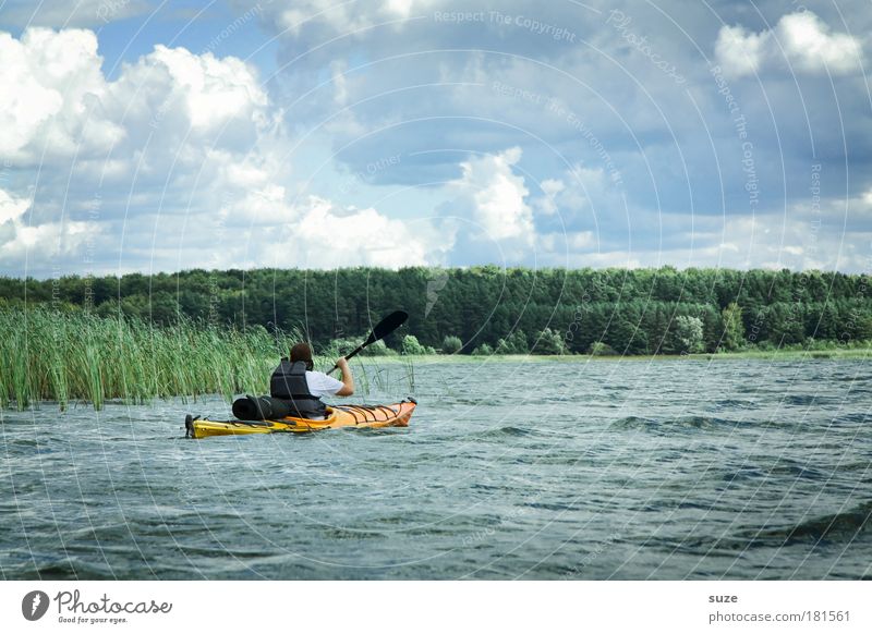 Feuchtgebiete Leben Freizeit & Hobby Ferien & Urlaub & Reisen Ausflug Abenteuer Sport Wassersport Mensch 1 Umwelt Natur Landschaft Pflanze Wolken Klima Seeufer