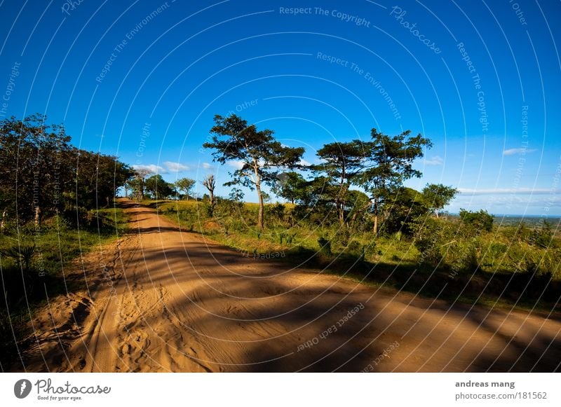 It's a long way home Farbfoto Außenaufnahme Tag Licht Schatten Weitwinkel Ferien & Urlaub & Reisen Safari Umwelt Natur Landschaft Erde Sand Himmel Sommer Wetter