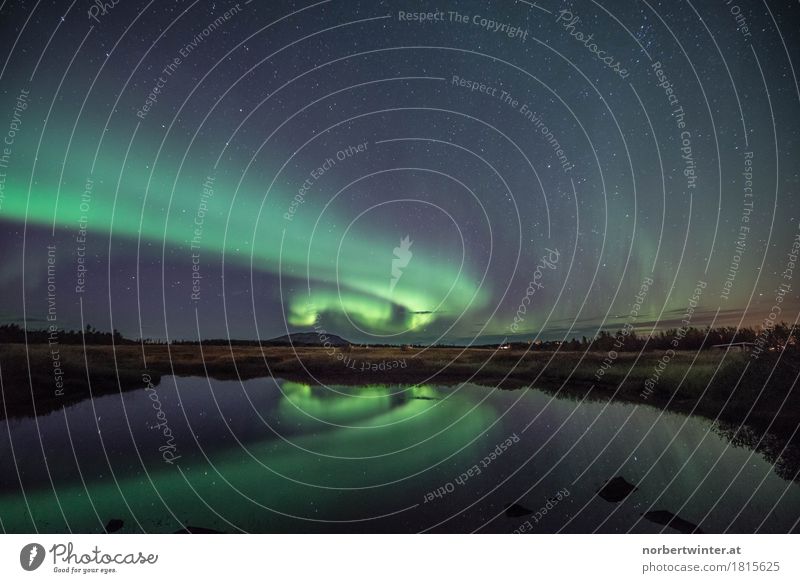 Nordlicht Natur Landschaft Wasser frisch blau grün Island Farbfoto Außenaufnahme Abend Dämmerung Nacht Weitwinkel