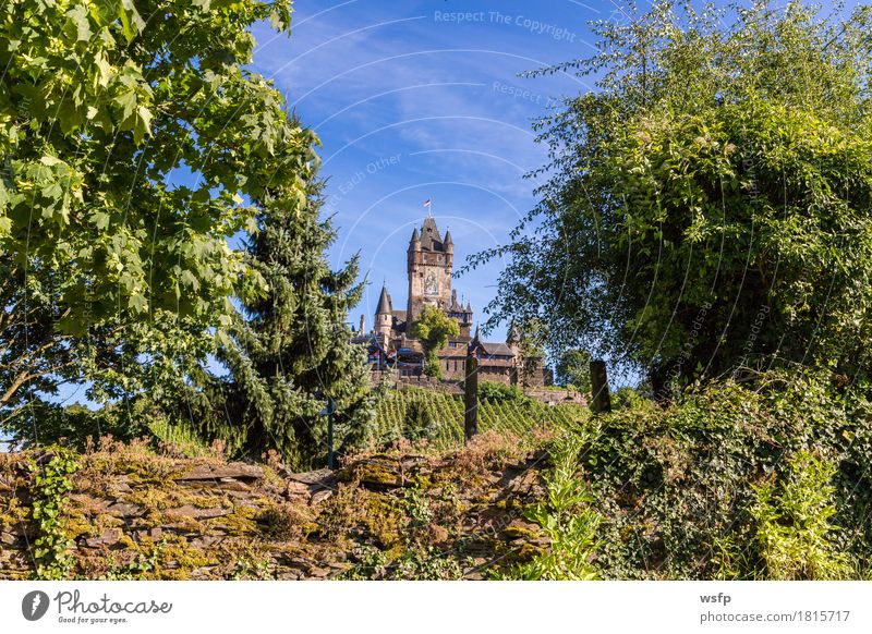 Reichsburg in Cochem an der Mosel Sommer Fluss Stadt Burg oder Schloss Idylle panorama reichsburg Moseltal mosel Weintrauben Eifel Rheinland-Pfalz Weinbau