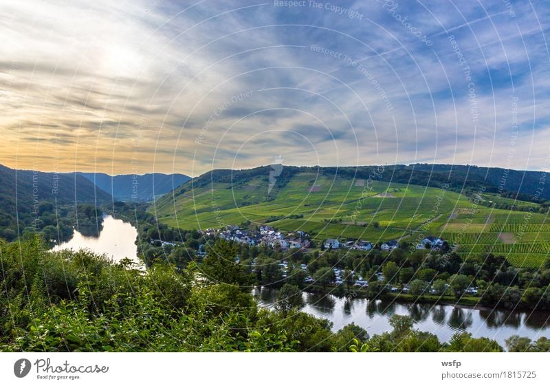 Aussicht auf das Moseltal bei Sonnenuntergang Panorama Sommer Fluss Idylle mosel Weintrauben Tal malerisch Eifel Rheinland-Pfalz Weinbau Weinberg schifffahrt