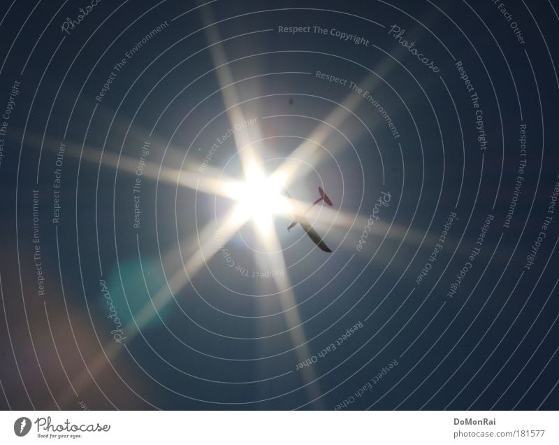 mythologisch Freizeit & Hobby Modellbau Luftverkehr Himmel Wolkenloser Himmel Sonne Schönes Wetter Flugzeug Propellerflugzeug Segelflugzeug fliegen hell