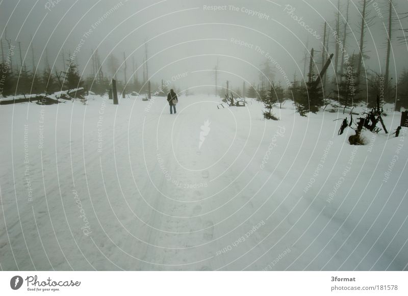 RUSSISCHER WINTER Schwarzweißfoto Gedeckte Farben Außenaufnahme Menschenleer Textfreiraum unten Hintergrund neutral Tag Abend Dämmerung Silhouette