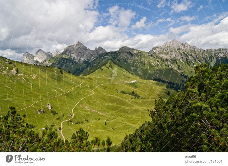 hinter sieben bergen Farbfoto Außenaufnahme Menschenleer Tag Licht Sonnenlicht Weitwinkel Umwelt Natur Landschaft Pflanze Erde Himmel Wolken Horizont Frühling