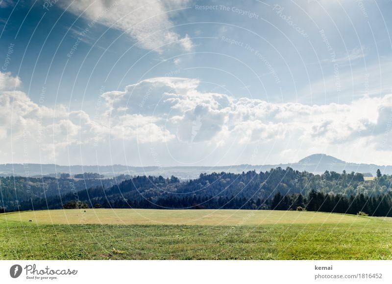 Wald und Flur Wellness Leben Wohlgefühl ruhig Ausflug Ferne Freiheit Umwelt Natur Landschaft Himmel Wolken Sonne Herbst Schönes Wetter Baum Gras Grünpflanze