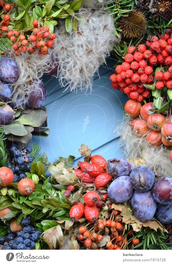 Herbstfrüchte Frucht Häusliches Leben Dekoration & Verzierung Pflanze Klima Blatt Nutzpflanze Beeren Tür Kranz frisch mehrfarbig Freude Farbe Natur Farbfoto