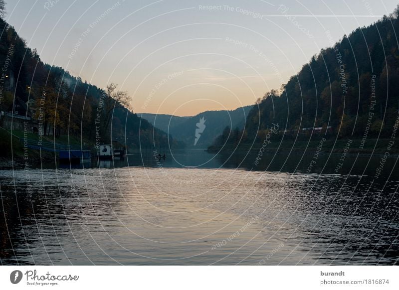 Sachsen, zeig mir deine schönen Seiten Umwelt Natur Landschaft Wasser Wolkenloser Himmel Sonnenaufgang Sonnenuntergang Herbst Schönes Wetter Fluss Elbe