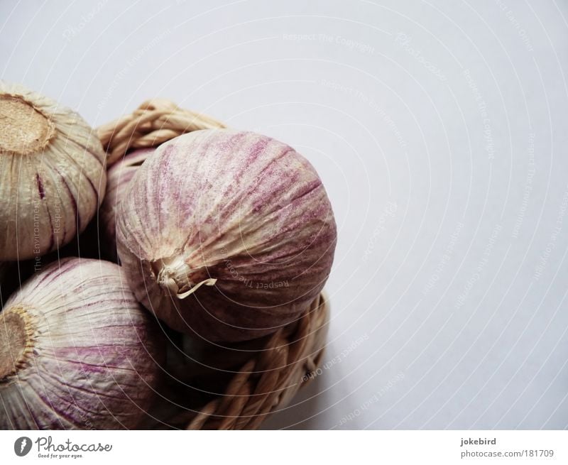 Knobi Pflanze Knoblauch Knoblauchzehe Knoblauchknolle Schalen & Schüsseln Korb Duft genießen Gesundheit Leben Natur Geruch Küche rosa rund 3 Kräuter & Gewürze