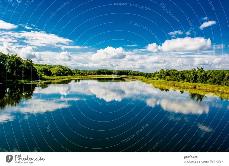 Nationalpark Donau Auen in Österreich Landschaft Auwald Wolken Wildnis Flußauen Natur Erholung Ferne Fluss Freizeit & Hobby Grundwasser Himmel lobau