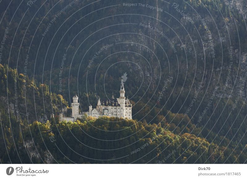 Neuschwanstein herbstlich, von Ferne Reichtum elegant Stil Design Tourismus Sightseeing Natur Landschaft Schönes Wetter Wald Hügel Alpen Berge u. Gebirge