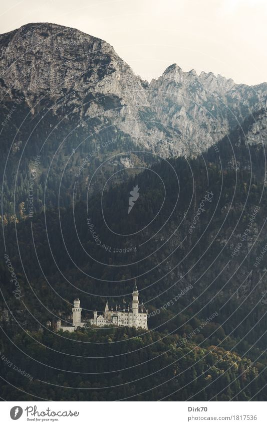 Neuschwanstein herbstlich, Hochformat Ferien & Urlaub & Reisen Tourismus Sightseeing Landschaft Herbst Baum Wald Herbstwald Hügel Felsen Alpen Berge u. Gebirge