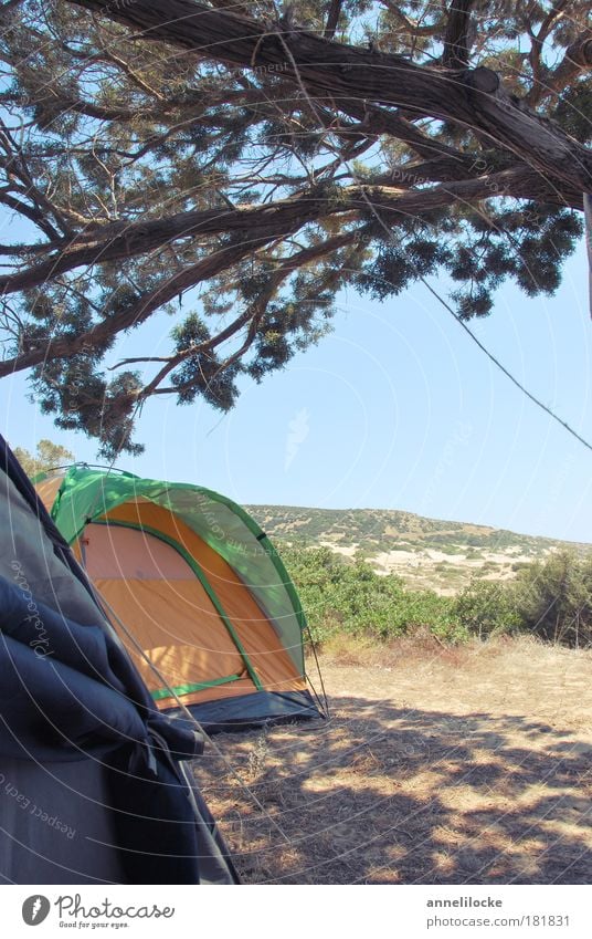 natural tenting Außenaufnahme Menschenleer Textfreiraum rechts Tag Licht Schatten Sonnenlicht Starke Tiefenschärfe Erholung ruhig Ferien & Urlaub & Reisen