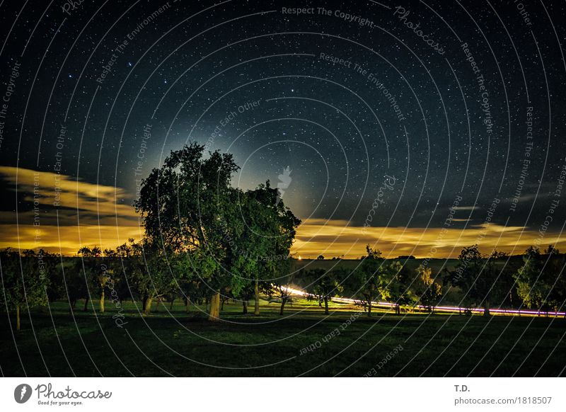 Da draußen Natur Wolken Nachthimmel Stern Baum Wiese Straße beobachten glänzend leuchten alt dunkel authentisch gigantisch Unendlichkeit blau gelb grün schwarz