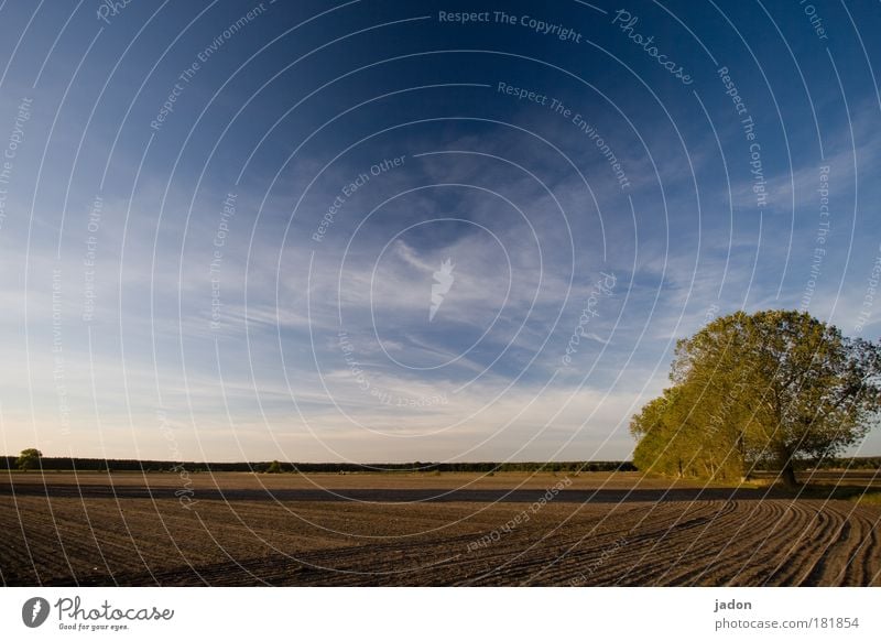 ackerbau Außenaufnahme Abend Licht Schatten Sonnenlicht Landschaft Herbst Schönes Wetter Feld natürlich blau braun Zufriedenheit Erholung Horizont Stimmung