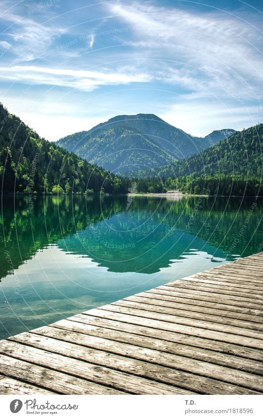 Mittelberg Wohlgefühl Zufriedenheit Erholung ruhig Ausflug Camping Berge u. Gebirge wandern Natur Landschaft Wasser Himmel Hügel Allgäuer Alpen Seeufer Plansee