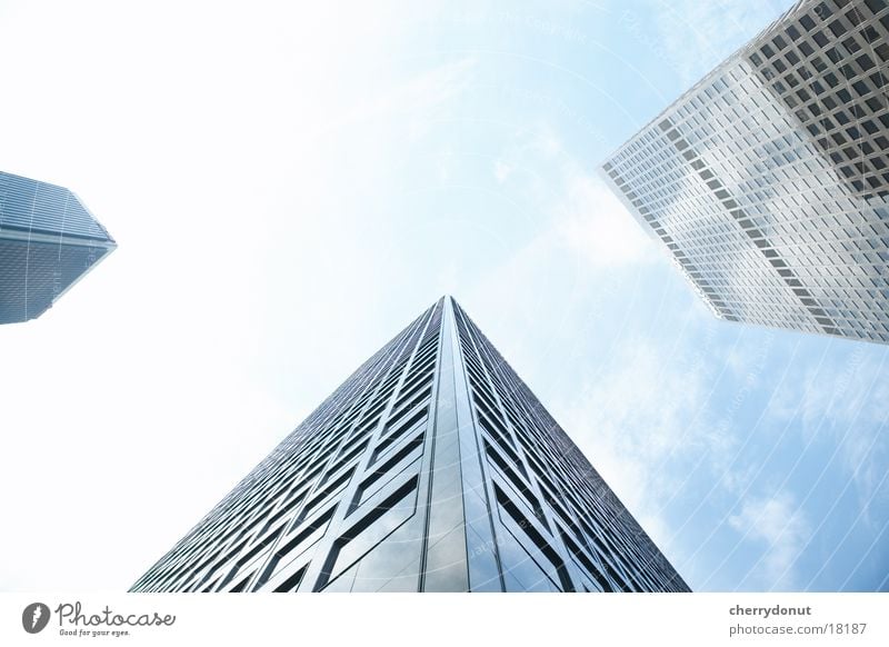 Wolkenkratzer Froschperspektive Haus Hochhaus Architektur Himmel hoch Skyline