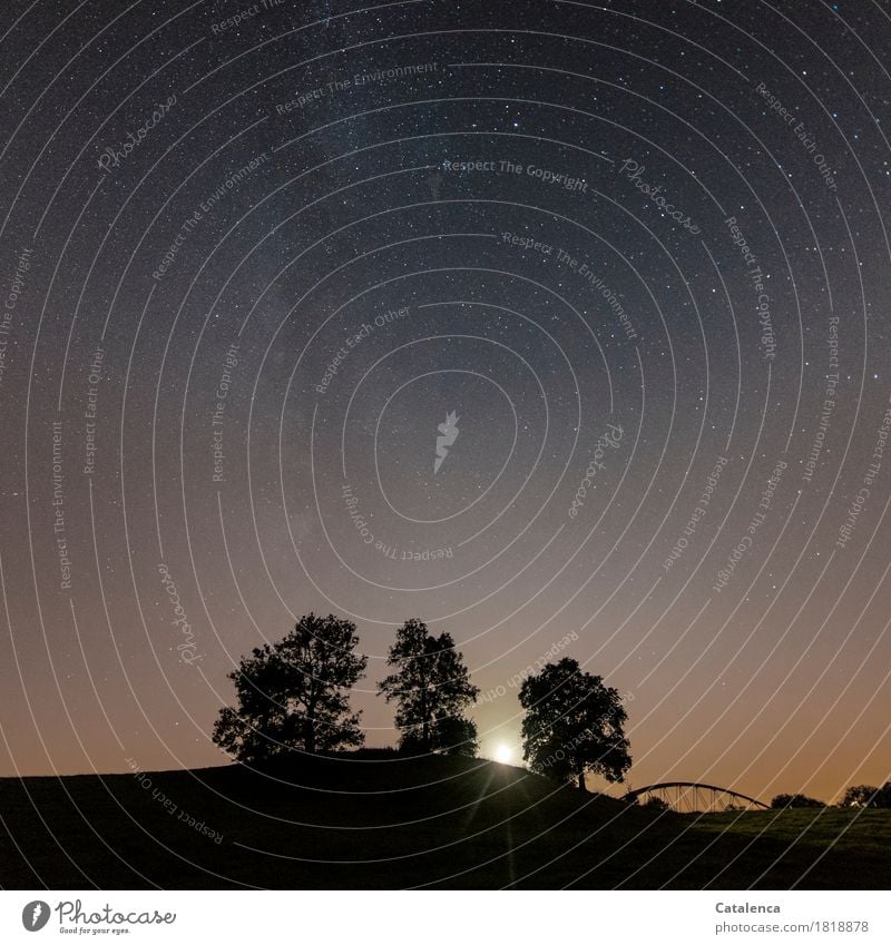 Mitternacht, Nachtaufnahme mit Baumgruppe, Milchstrasse und untergehenden Vollmond Natur Landschaft Pflanze Wolkenloser Himmel Nachthimmel Stern Mond Sommer