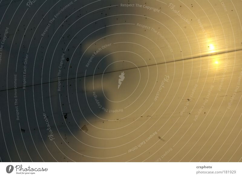 Nur mehr ein Schatten ihrer selbst...! Farbfoto Außenaufnahme Textfreiraum rechts Abend Sonnenlicht Buchstaben Sonnenaufgang Sonnenuntergang Schönes Wetter