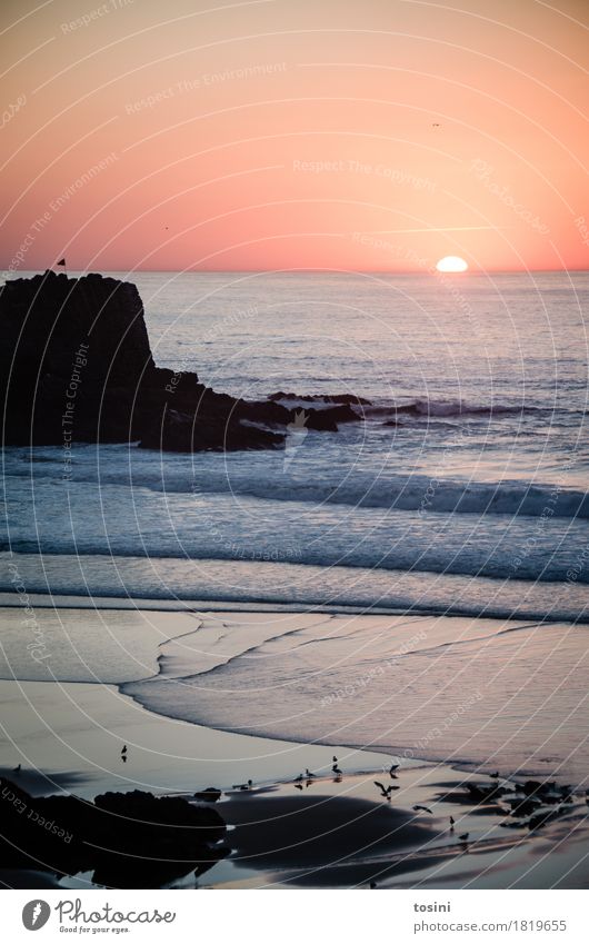 Am Meer IV Wasser Reflexion & Spiegelung Sonne Licht Abend Abendsonne Sand Strand Felsen Wellen Abenddämmerung Ferien & Urlaub & Reisen Natur Erholung Sehnsucht