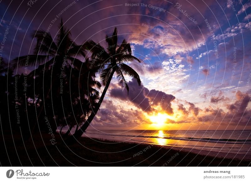 Traumurlaub Farbfoto Außenaufnahme Morgen Morgendämmerung Licht Schatten Kontrast Reflexion & Spiegelung Sonnenlicht Sonnenaufgang Sonnenuntergang Gegenlicht