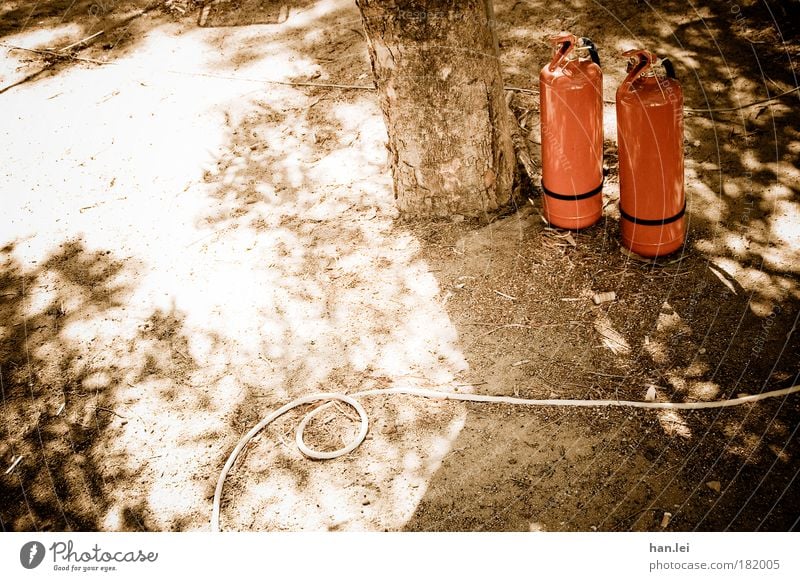 1 Baum, 1 Schlauch, 2 Feuerlöscher Gartenschlauch Wasser Farbfoto Schatten Sonne Textfreiraum links Menschenleer Brand Brandgefahr Löscher Baumstamm Boden