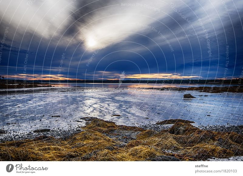 wintertime Natur Landschaft Urelemente Himmel Sonnenaufgang Sonnenuntergang Schönes Wetter Wind Abenteuer Maine Neuengland Atlantik Bucht acadia national park