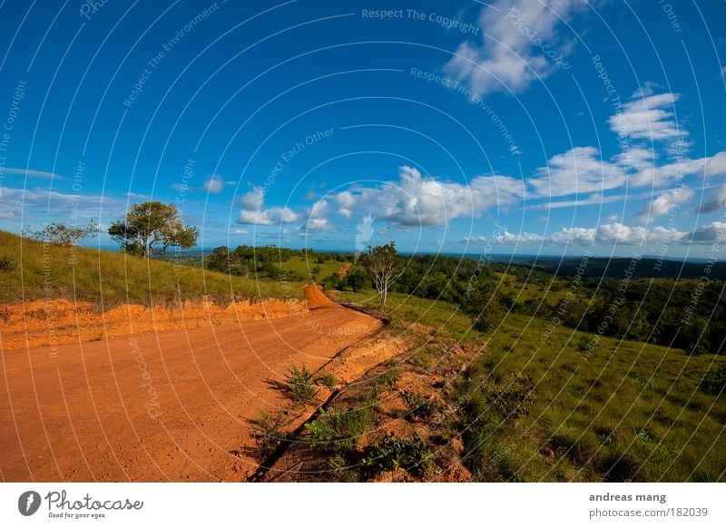 Way to no where? Farbfoto Menschenleer Tag Weitwinkel Ferne Freiheit Safari Expedition Sommer Natur Landschaft Erde Sand Himmel Wolken Baum Park Verkehrswege