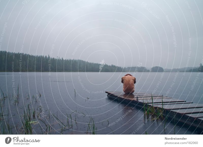 60° Nord Männlich Regen Körper Mensch maskulin Mann Erwachsene Natur Landschaft Wasser Wolken schlechtes Wetter Wald See frieren sportlich außergewöhnlich nackt