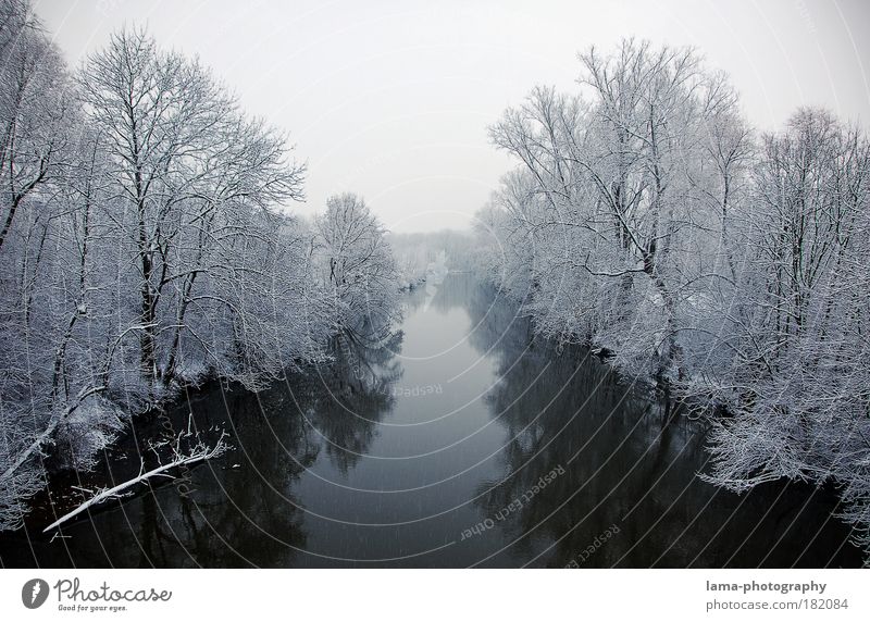 Leise rieselt der Schnee... Farbfoto Schwarzweißfoto Außenaufnahme Textfreiraum unten Textfreiraum Mitte Tag Kontrast Reflexion & Spiegelung Zentralperspektive