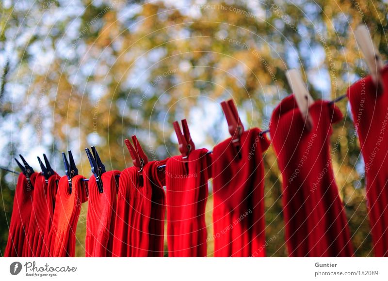 Rote Socken Farbfoto mehrfarbig Außenaufnahme Detailaufnahme Menschenleer Textfreiraum links Textfreiraum oben Tag Dämmerung Licht Schatten Kontrast Unschärfe