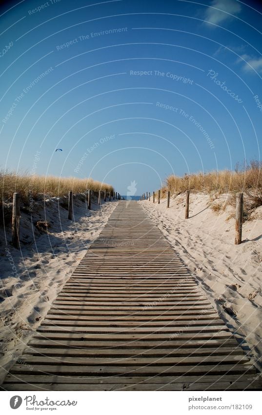 Weg zur Ostsee Farbfoto Außenaufnahme Menschenleer Textfreiraum oben Tag Sonnenlicht Starke Tiefenschärfe Zentralperspektive Weitwinkel Umwelt Natur Landschaft