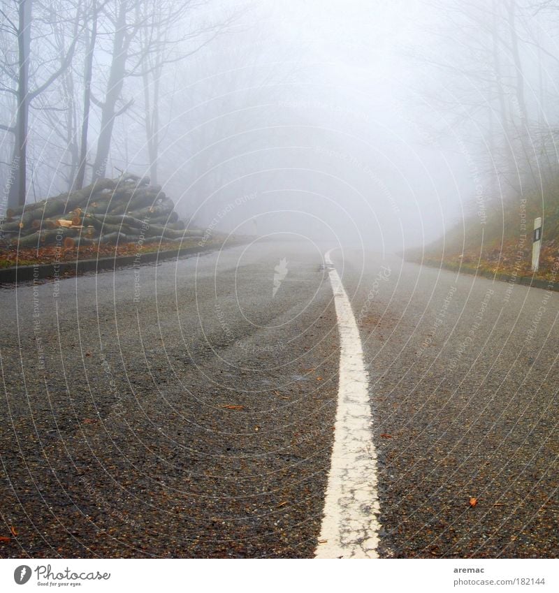 Fehlender Durchblick Farbfoto Gedeckte Farben Außenaufnahme Menschenleer Tag Froschperspektive Landschaft Herbst schlechtes Wetter Nebel Regen Baum Wald