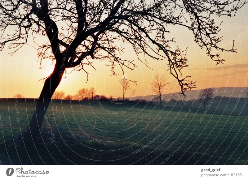 abendstimmung Farbfoto mehrfarbig Außenaufnahme Menschenleer Abend Dämmerung Kontrast Sonnenstrahlen Sonnenaufgang Sonnenuntergang Gegenlicht Umwelt Natur