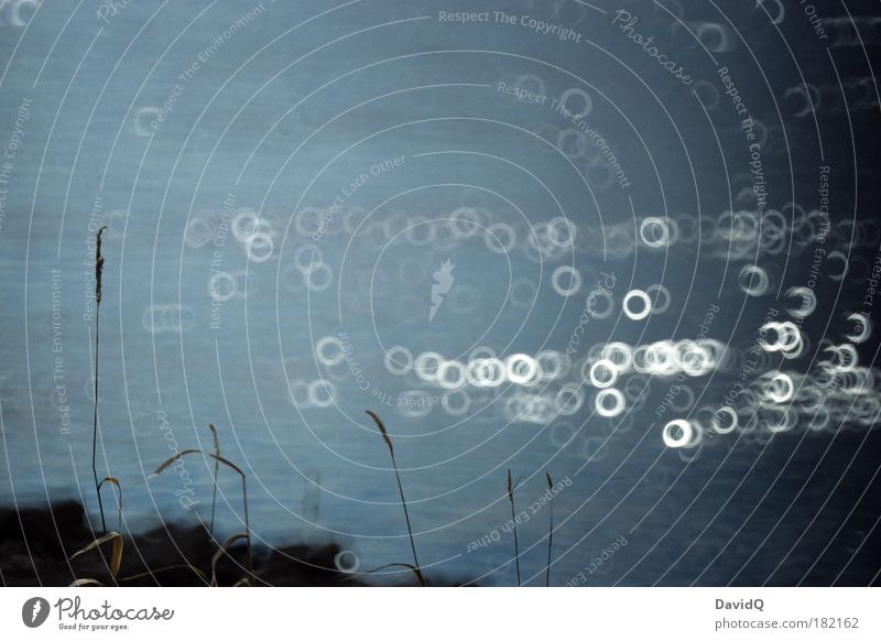 Elbufer Farbfoto Außenaufnahme Menschenleer Abend Licht Reflexion & Spiegelung Lichterscheinung Sonnenlicht Gegenlicht Unschärfe Schwache Tiefenschärfe Umwelt