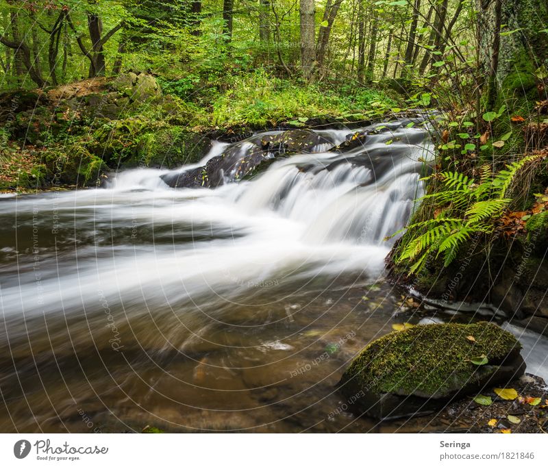 Bergab Freizeit & Hobby Angeln Ferien & Urlaub & Reisen Tourismus Ausflug Abenteuer Freiheit Expedition Umwelt Natur Landschaft Pflanze Tier Wasser