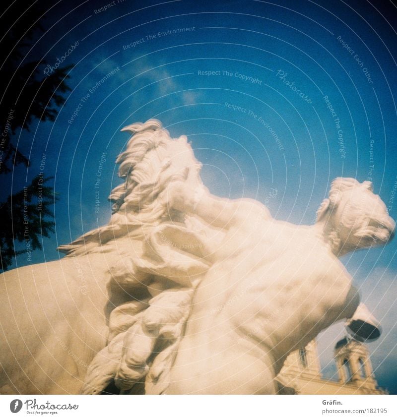 [WTCD] Weiße Kämpfer Außenaufnahme Unschärfe Museum Skulptur Stein kämpfen Statue Marmor Wien weiß Pferd Pouva Lomografie Himmel blau Bildhauerei Tag