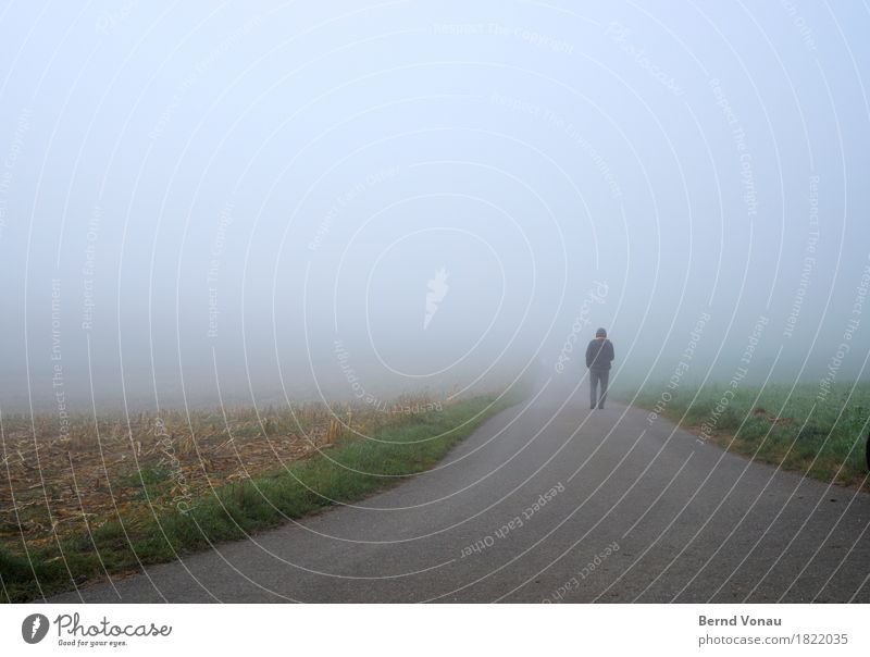 mal schauen Mensch 1 Umwelt Natur Feld Verkehrswege Straße Wege & Pfade Gefühle Stimmung Glaube gehen Zukunft Nebel Himmel grün blau Richtung Einsamkeit Kapuze