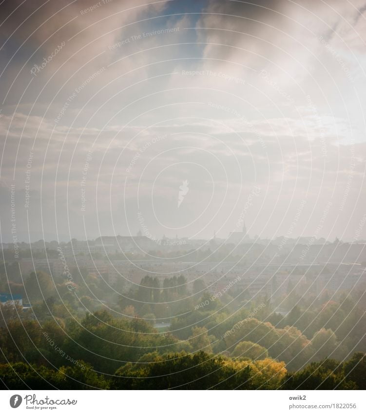 Weichbild Umwelt Natur Landschaft Himmel Wolken Horizont Klima Schönes Wetter Baum Wald Bautzen Lausitz Deutschland Kleinstadt Stadtrand bevölkert Haus Kirche