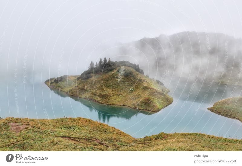 Alpensee im dichten Nebel, Bayern, Deutschland Ferien & Urlaub & Reisen Abenteuer Camping Berge u. Gebirge Natur Landschaft Herbst Wetter Wiese See Gelassenheit