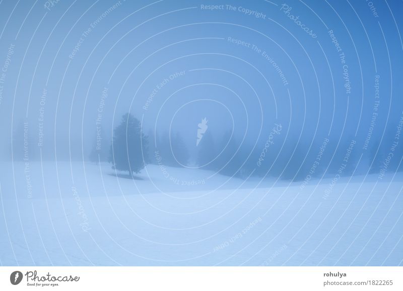 Winterberge im dichten Morgennebel Schnee Berge u. Gebirge wandern Natur Landschaft Wetter Nebel Baum Wald Hügel Gelassenheit Fichte nadelhaltig kalt