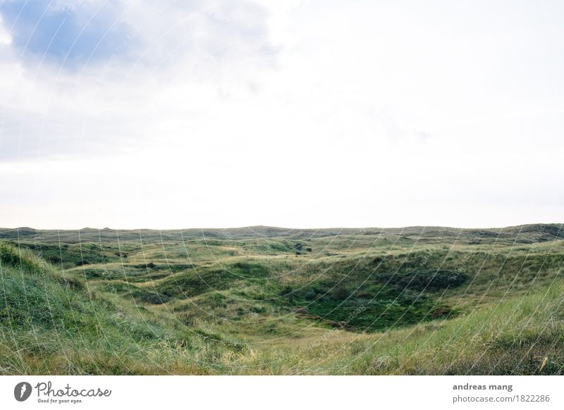 #322 / Naturschutzgebiet Ferien & Urlaub & Reisen Ausflug Camping Sommerurlaub Umwelt Landschaft Himmel Herbst Schönes Wetter Gras Grünpflanze Hügel Nordsee